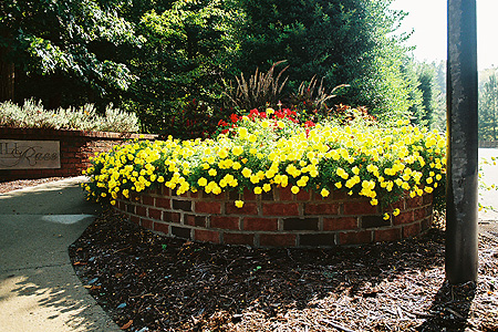 A brick planter for flowers