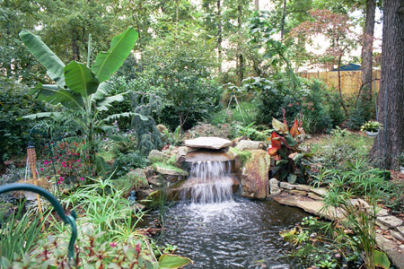 Main water feature
